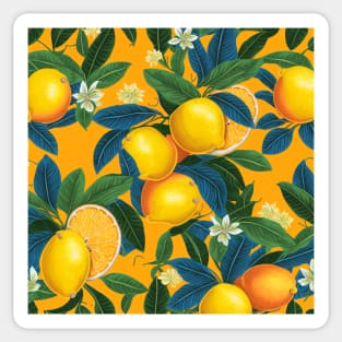 Sicilian oranges II Sticker